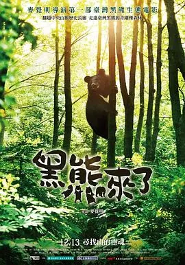 黑熊来了 黑熊來了封面