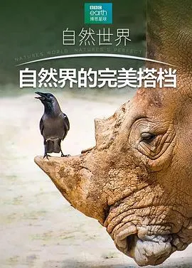 自然界中的完美搭档封面