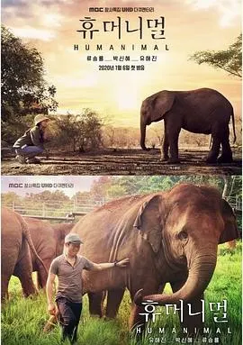 人类-动物 휴머니멀封面