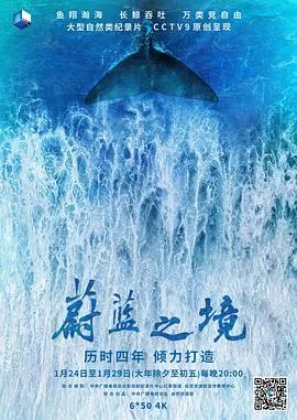 蔚蓝之境封面