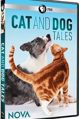 猫的故事封面