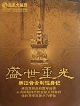 盛世重光：佛顶骨舍利现身记封面