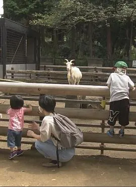 纪实72小时 川崎 山丘上的动物园 ドキュメント72時間：川崎 丘の上の動物公園封面