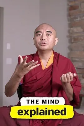 头脑解密 第二季封面