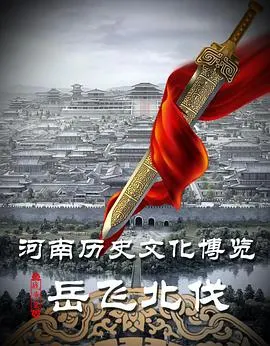 岳飞北伐封面