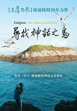 寻找神话之鸟 尋找神話之鳥封面