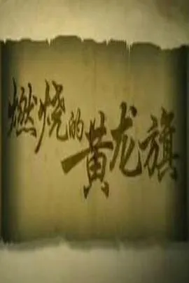 燃烧的黄龙旗封面