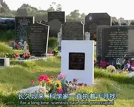 地平线系列：过敏世界封面