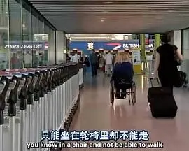 地平线系列：干细胞的秘密封面