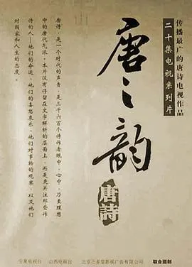 唐之韵封面