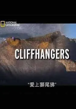国家地理：爱上狮尾狒 国家地理：爱上狮尾狒 /封面