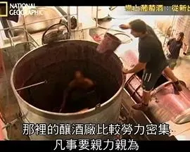 恋上葡萄酒封面