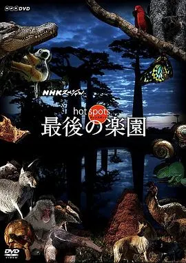 HOT封面