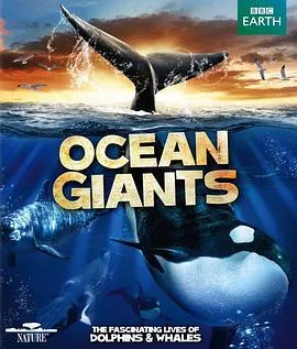 海洋巨兽封面