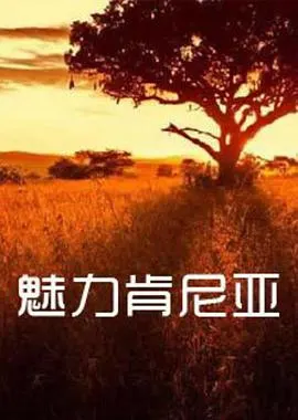 魅力肯尼亚封面
