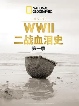 二战血泪史封面