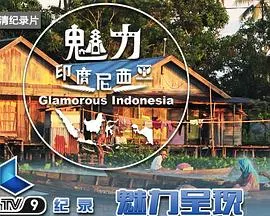 魅力印度尼西亚封面
