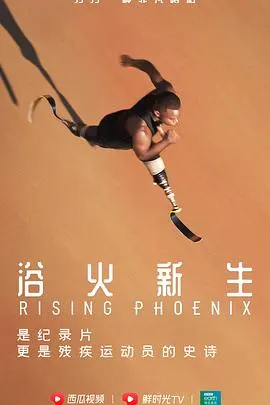 浴火新生封面