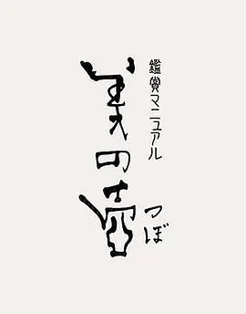 美之壶 鑑賞マニュアル 美の壺封面