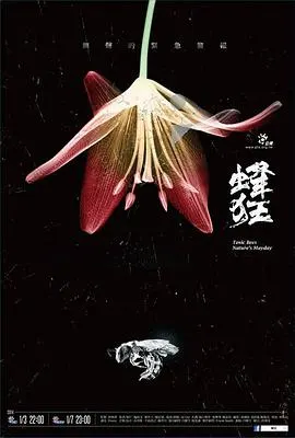 蜂狂封面