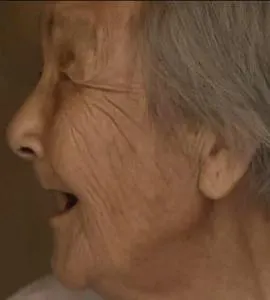 凤凰大视野 最后的“慰安妇”封面