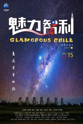 魅力智利封面