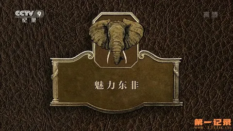 魅力东非封面