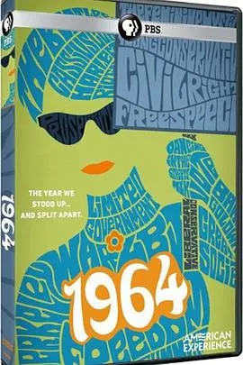 1964 美国的奋起和撕裂：1964封面