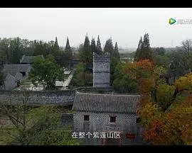 紫蓬山封面