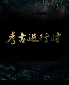 2014考古进行时封面
