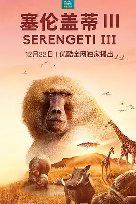 塞伦盖蒂 第三季封面