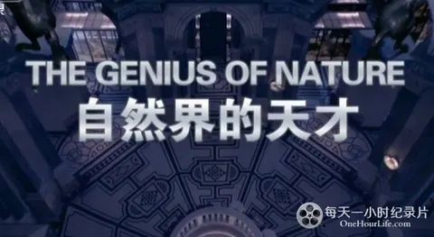 自然界的天才封面