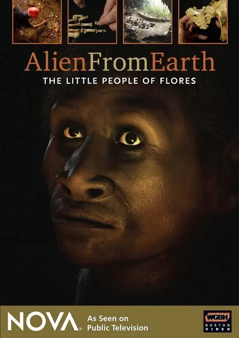 来自地球的外星人：弗洛勒斯岛的小矮人封面