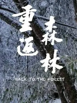 重返森林封面