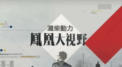 凤凰大视野 ：“九号院”往事封面