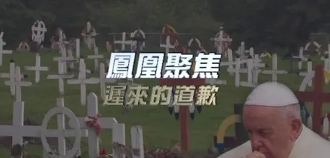 迟来的道歉封面