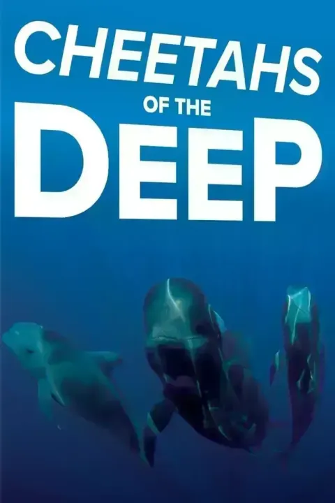 深海猎豹封面
