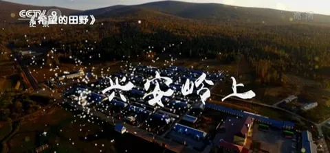 希望的田野·兴安岭上封面