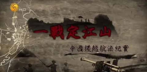 一战定江山·中国援越抗法纪实封面