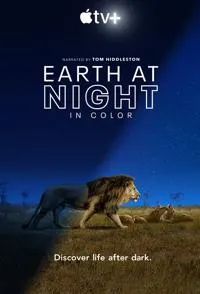 夜色中的地球封面