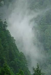 日本印象派 水光和鸣 ニッポン印象派 「響き光る水」封面