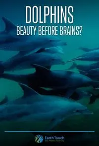 海豚的美丽与智慧封面