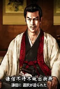 谦信之野望封面