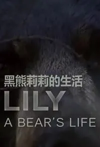 莉莉 一头熊的生活封面