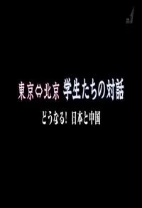 早稻田大学和北京大学学生之间的对话 東京 東京・北京 学生たちの対話 どうなる！日本と中国封面