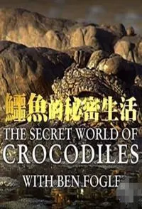 鳄鱼的秘密生活封面