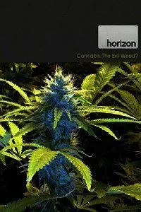 大麻：罪恶之种？封面