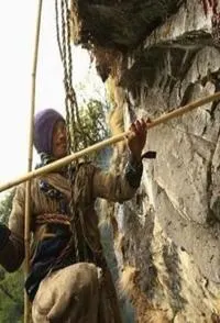 尼泊尔采蜜人封面