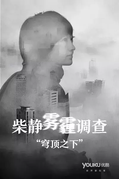 穹顶之下封面