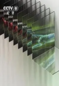探秘微型动物世界封面